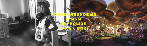 соль курить ск Алзамай