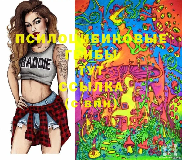 стафф Алексин