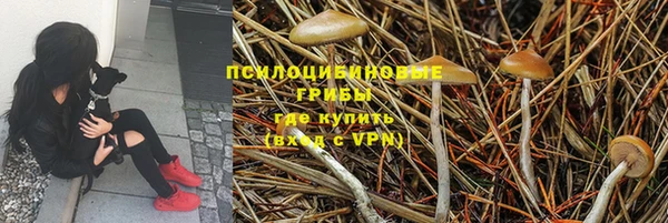 крисы Алексеевка