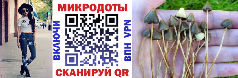 blacksprut сайт  закладка  Бабушкин  Галлюциногенные грибы Psilocybe 
